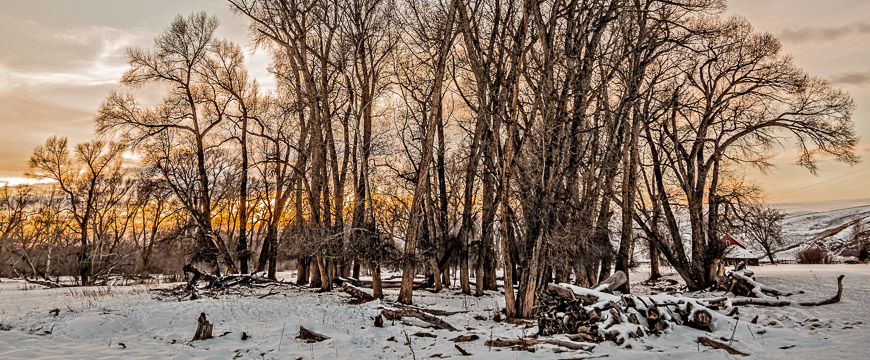 IVY_20131231_7287